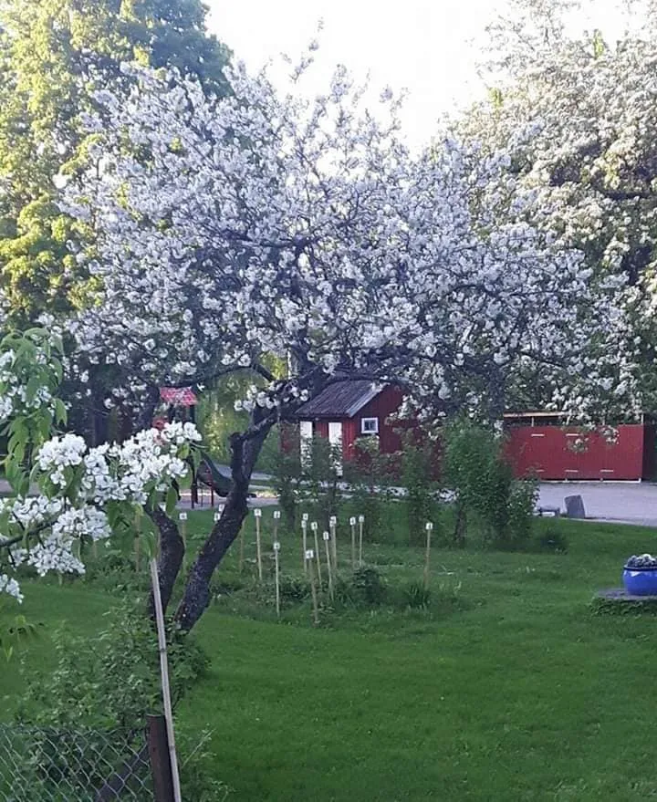 Øvre Verket